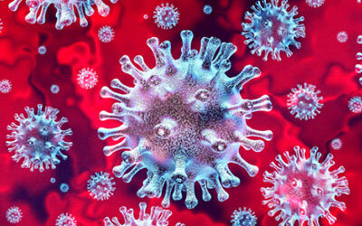 Aktuální opatření s ohledem na Koronavirus